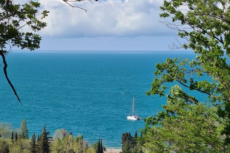 Вид на коттедж, территория