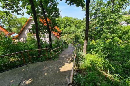 Вид на коттедж, территория