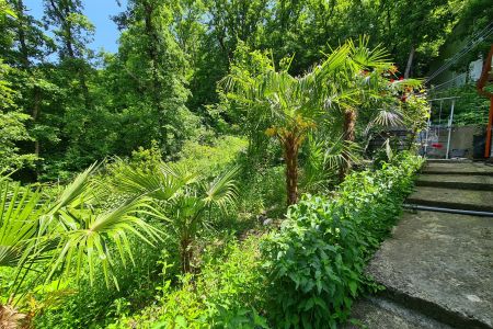 Вид на коттедж, территория